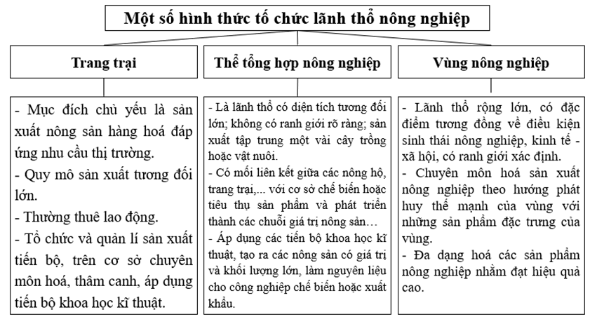 Hãy lập sơ đồ để hệ thống hoá đặc điểm của các hình thức tổ chức lãnh thổ nông nghiệp (ảnh 1)