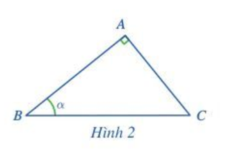 a) Nhắc lại định nghĩa sin α, cos α, tan α, cot α.  b) Biểu diễn tỉ số lượng giác của góc 90° – α theo tỉ số lượng giác của góc α (ảnh 1)