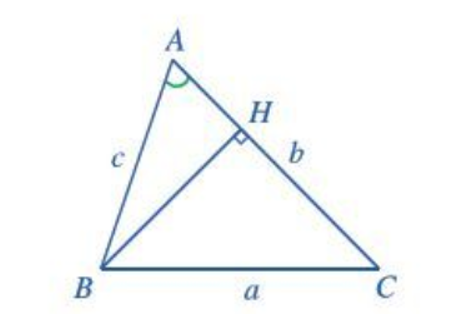Cho tam giác ABC có BC = a, AC = b, góc BAC = a. Kẻ đường cao BH (ảnh 1)