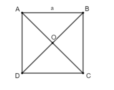 Cho hình vuông ABCD có cạnh a. Tính độ dài của các vectơ sau (ảnh 1)