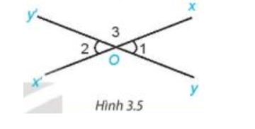 Cho hai đường thẳng xx'  và yy'  cắt nhau tại O (H.3.5) (ảnh 1)
