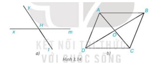Cho Hình 3.14, hãy kể tên các cặp góc đối đỉnh (ảnh 1)