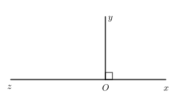 Em hãy chứng minh định lí: “Hai góc kề bù bằng nhau thì mỗi góc là một góc vuông” (ảnh 1)