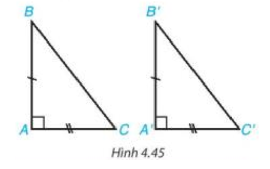 Hai tam giác vuông ABC (vuông tại đỉnh A) và A'B'C'  (vuông tại đỉnh A') có các cặp cạnh góc vuông bằng nhau (ảnh 1)
