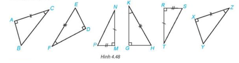 Trong Hình 4.48, hãy tìm các cặp tam giác vuông bằng nhau và giải thích vì sao chúng bằng nhau (ảnh 1)