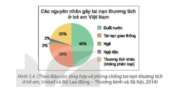 Từ biểu đồ Hình 5.4, em hãy lập bảng thống kê tỉ lệ các nguyên nhân gây tai nạn thương tích ở trẻ em Việt Nam (ảnh 1)
