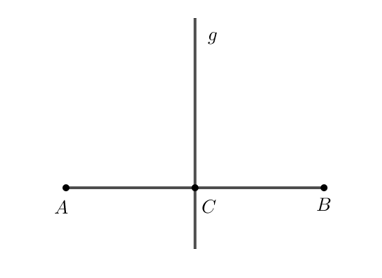 Đường thẳng g vẽ được có phải là đường trung trực của đoạn thẳng AB không (ảnh 8)