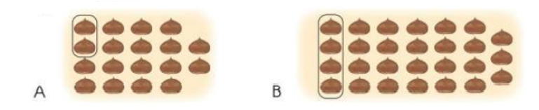 Hình nào đã khoanh: a)   số cây nấm?   b)   số quả cà chua?   c)   số hạt dẻ? (ảnh 3)