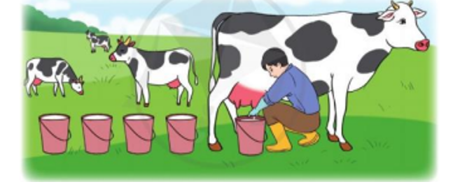 Bác Nam vắt được 5 xô sữa bò, mỗi xô có 8 l sữa.Hỏi bác Nam vắt được tất cả bao nhiêu lít sữa (ảnh 1)
