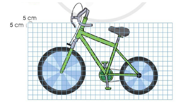 Theo em, đường kính của mỗi bánh xe trong hình dưới đây là bao nhiêu xăng-ti-mét? (ảnh 1)