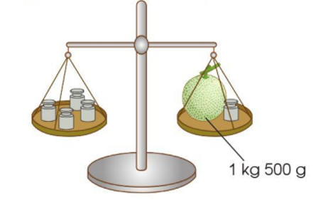 Theo em, mỗi quả cân dưới đây cân nặng bao nhiêu gam? Biết rằng các quả cân có cân nặng bằng nhau. (ảnh 1)