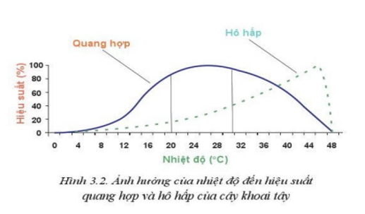 Em hãy quan sát Hình 3.2 và cho biết phạm vi nhiệt độ thích hợp cho sinh trưởng của cây khoai tây (ảnh 1)