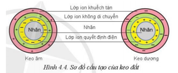 Quan sát Hình 4.4 và mô tả cấu tạo của hạt keo đất (ảnh 1)