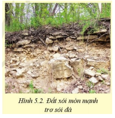 Em hãy mô tả đặc điểm của đất xỏi mòn mạnh trơ sỏi đá trong Hình 5.2 (ảnh 1)
