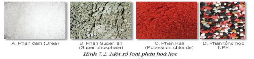 Kể tên và cho biết đặc điểm của các loại phân bón hoá học trong Hình 7.2 (ảnh 1)