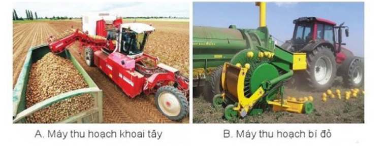 Các loại máy thu hoạch ở Hình 17.5 có thể sử dụng để thu hoạch các loại cây trồng nào khác (ảnh 1)