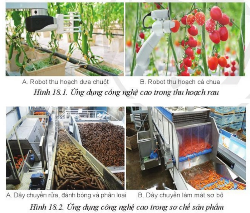 Công nghệ cao nào được ứng dụng trong thu hoạch, sơ chế, phân loại, bao gói sản phẩm trồng trọt trong Hình 19.1 – 18.4 (ảnh 1)