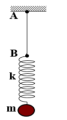 Một con lắc lò xo gồm lò xo nhẹ có độ cứng k = 50 N/m, vật nhỏ có khối lượng (ảnh 1)