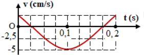 Hình bên là một đoạn đồ thị biểu diễn sự phụ thuộc của vận tốc v theo thời gian t của  một vật dao động điều hòa. Phương trình (ảnh 1)