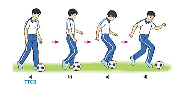 Vận dụng kĩ thuật dẫn bóng bằng mu giữa bàn chân, trò chơi vận động đã học để luyện tập và vui chơi hàng ngày (ảnh 1)