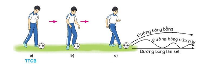 Vận dụng kĩ thuật đá bóng bằng lòng bàn chân, trò chơi vận động đã học để luyện tập và vui chơi hàng ngày (ảnh 1)
