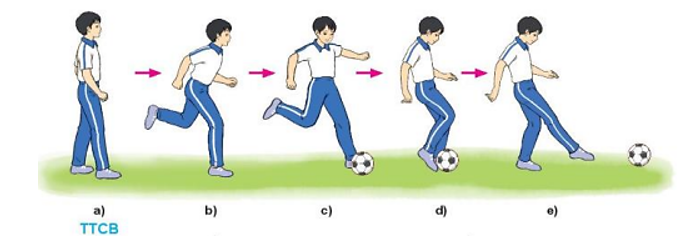 Vận dụng kĩ thuật đá bóng bằng mu giữa bàn chân để tập luyện và thi đấu (ảnh 2)