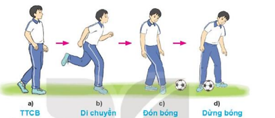 Vận dụng phối hợp kĩ thuật đá bóng và dừng bóng bằng lòng bàn chân để luyện tập, vui chơi hàng ngày (ảnh 1)