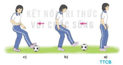 Những tình huống nào trong luyện tập và thi đấu không nên sử dụng kĩ thuật dừng bóng bằng gan bàn chân (ảnh 1)