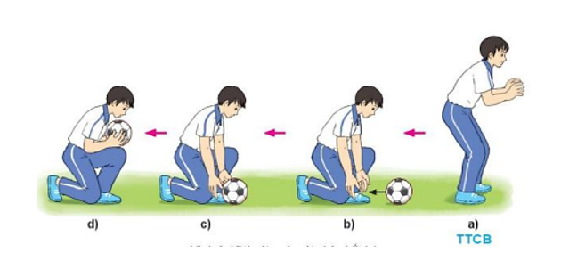 Kĩ thuật quỳ một chân bắt bóng thường được sử dụng với đường bóng nào (ảnh 1)