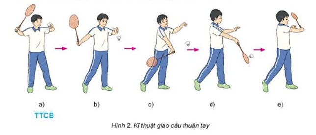 Vận dụng kỹ thuật giao cầu thuận tay để đấu tập và vui chơi hàng ngày (ảnh 1)