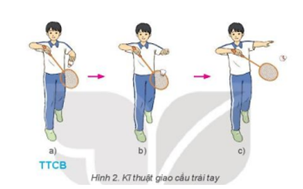 Vận dụng giao cầu trái tay và trò chơi vận động để rèn luyện sức khỏe vui chơi hàng ngà (ảnh 1)