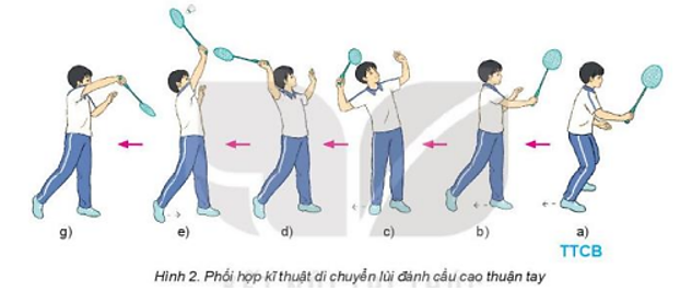 Vận dụng di chuyển lùi đánh cầu cao thuận tay phối hợp với di chuyển tiến đánh cầu thấp tay để vui chơi và đấu tập (ảnh 1)
