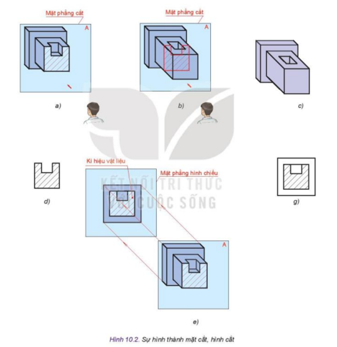 Quan sát Hình 10.2 và sắp xếp trình trự các hình a, b, c, d, e, g theo đúng trình tự hình thành mặt cắt, hình cắt ở trên. (ảnh 1)