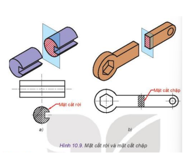 Quan sát Hình 10.9 và thực hiện các nhiệm vụ sau: - So sánh mức độ phức tạp của hai mặt cắt - Tìm sự khác nhau về nét vẽ đường bao quanh của hai mặt cắt (ảnh 1)