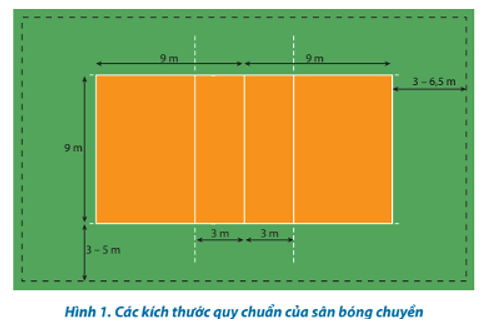 Kích thước của sân và chiều cao của lưới thi đấu bóng chuyền cho nam, nữ là bao nhiêu (ảnh 1)