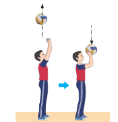 Nêu cách thực hiện kĩ thuật chuyền bóng cao tay trước mặt (ảnh 2)