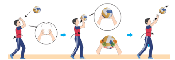 Vận dụng kỹ thuật chuyền bóng cao tay  bằng hai tay trước mặt vào tập luyện và vui chơi để rèn luyện sức khỏe hàng ngày (ảnh 2)