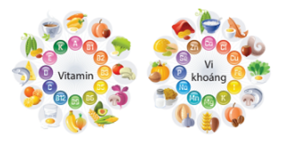 Các nhóm chất dinh dưỡng thiết yếu cần có trong mỗi bữa ăn là những chất nào (ảnh 4)