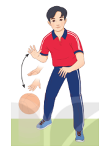 Vận dụng kĩ thuật dẫn bóng tại chỗ và trò chơi để rèn luyện nâng cao sức khỏe (ảnh 1)