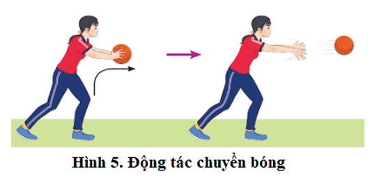 Vận dụng kĩ thuật chuyền, bắt bóng bằng hai tay trước ngực để rèn luyện sức khỏe và nâng cao cảm giác chuyền, bắt bóng (ảnh 4)