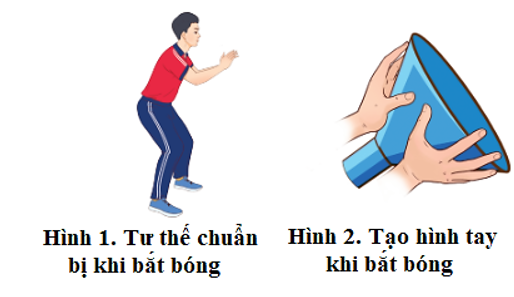 Vận dụng kĩ thuật chuyền, bắt bóng bằng hai tay trước ngực để rèn luyện sức khỏe và nâng cao cảm giác chuyền, bắt bóng (ảnh 1)