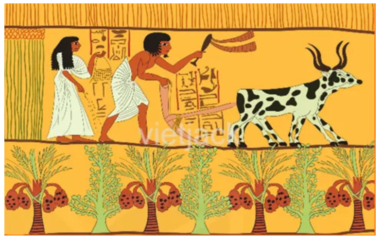 Quan sát Hình 6.2 em hãy mô tả một số hoạt động kinh tế của cư dân Ai Cập cổ đại (ảnh 1)