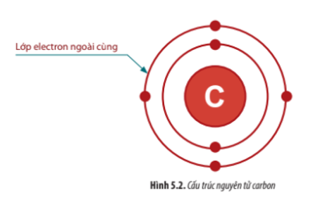Quan sát Hình 5.2 và cho biết thêm cấu tạo của nguyên vẹn tử carbon sở hữu điểm sáng gì canh ty nó trở nên yếu tố sở hữu tầm quan trọng cần thiết nhập tế bào (ảnh 1)