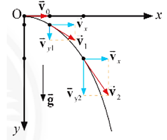 Lập luận để rút ra các phương trình mô tả quỹ đạo chuyển động, thời gian rơi và tầm xa của vật được ném ngang (ảnh 1)