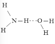 Viết các khả năng tạo thành liên kết hydrogen  (ảnh 2)