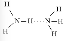 Liên kết hydrogen xuất hiện giữa những phân tử  (ảnh 2)