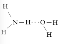 Vẽ các liên kết hydrogen được hình thành  (ảnh 2)