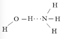 Vẽ các liên kết hydrogen được hình thành  (ảnh 1)