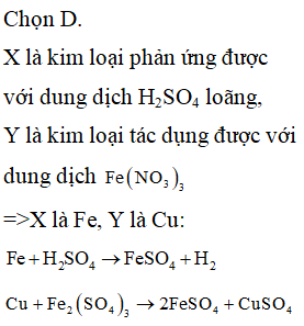 X là kim loại phản ứng được với dung dịch H2SO4 loãng, Y là kim loại (ảnh 1)
