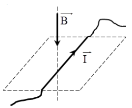 Một đoạn dây dẫn có dòng điện I nằm ngang đặt trong từ trường có đường sức từ thẳng đứng từ trên xuống như hình vẽ. Lực từ tác dụng lên đoạn dây dẫn có chiều (ảnh 1)